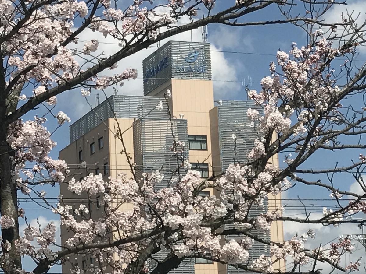Hotel Bellmare ホテルベルマーレ Maizuru Exterior photo